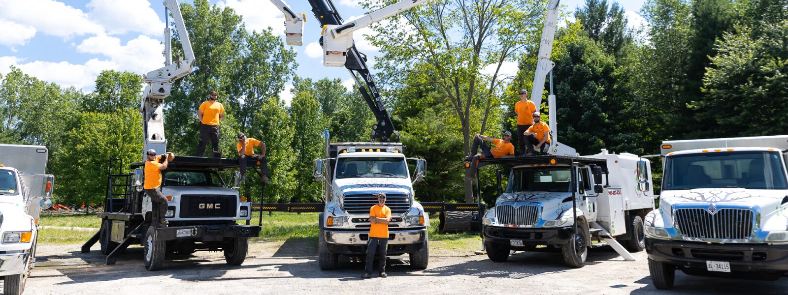 About Us - Shorthills Tree Service | Expert Tree Care Since 1999