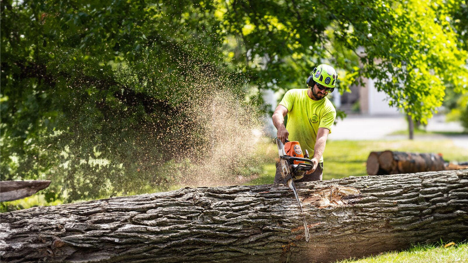Shorthills Tree Service