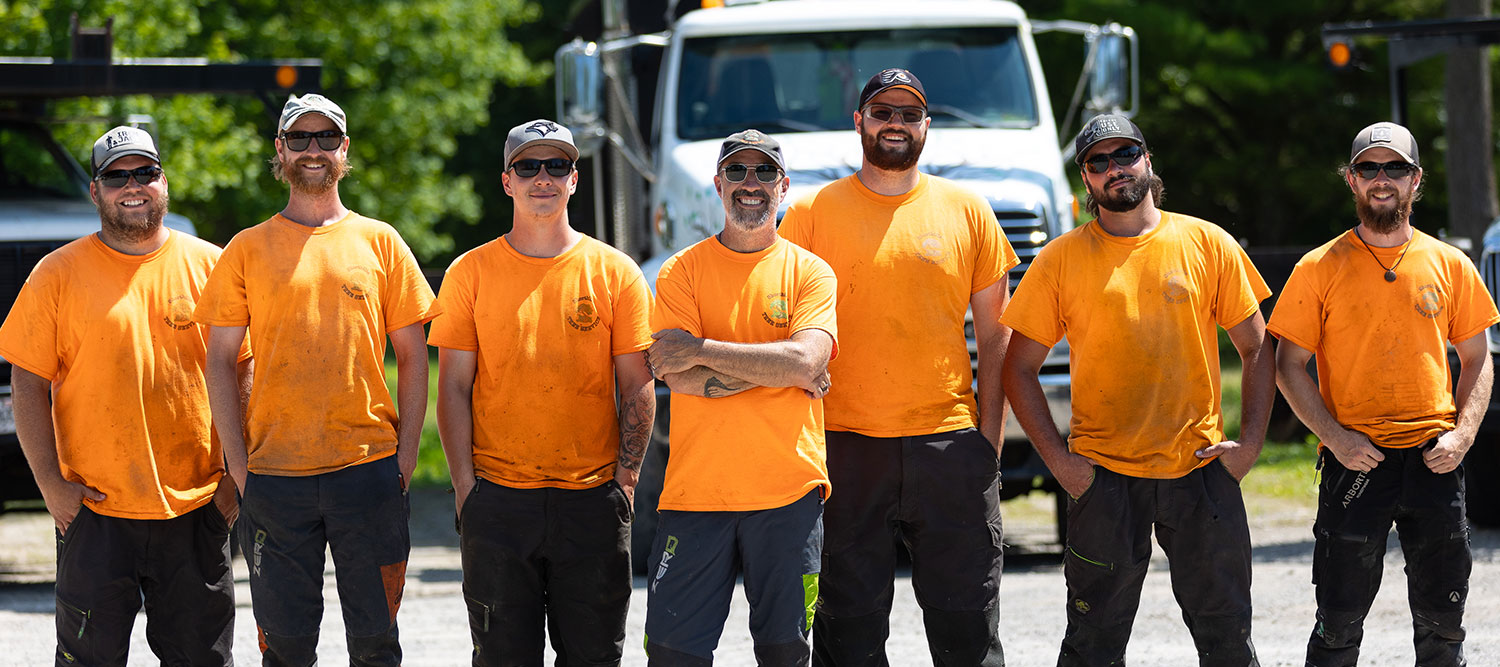 Team of Arborists